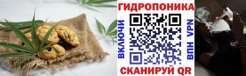 блэк спрут ссылка  наркота  Омск  Cannafood марихуана 