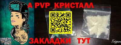 шишки Лесной