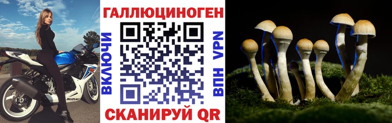 наркотики  Омск  Галлюциногенные грибы мицелий 