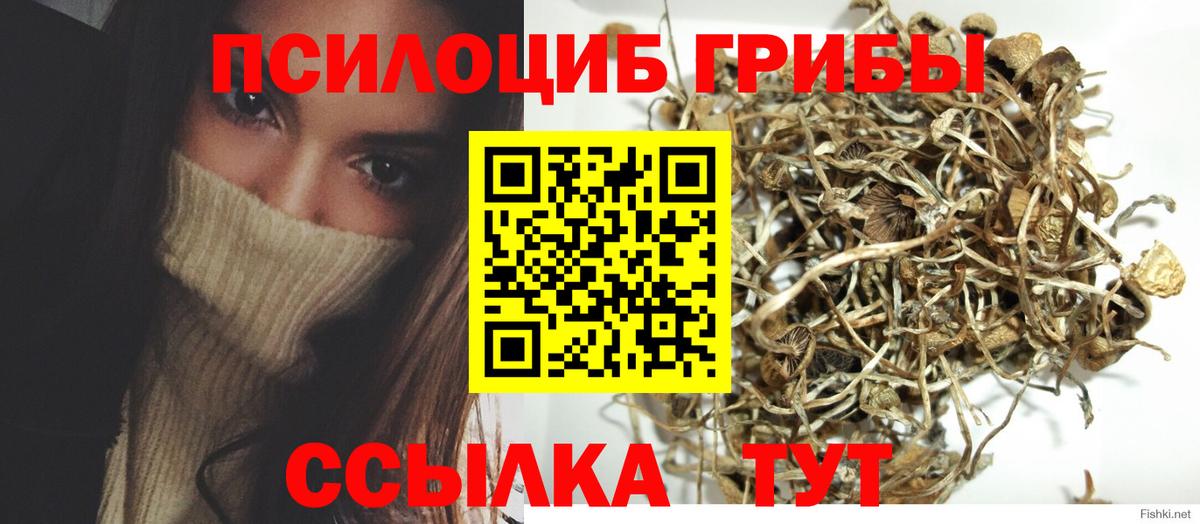 Псилоцибиновые грибы ЛСД  Псилоцибиновые грибы Magic Shrooms  Вход с VPN  где купить наркоту  Омск 